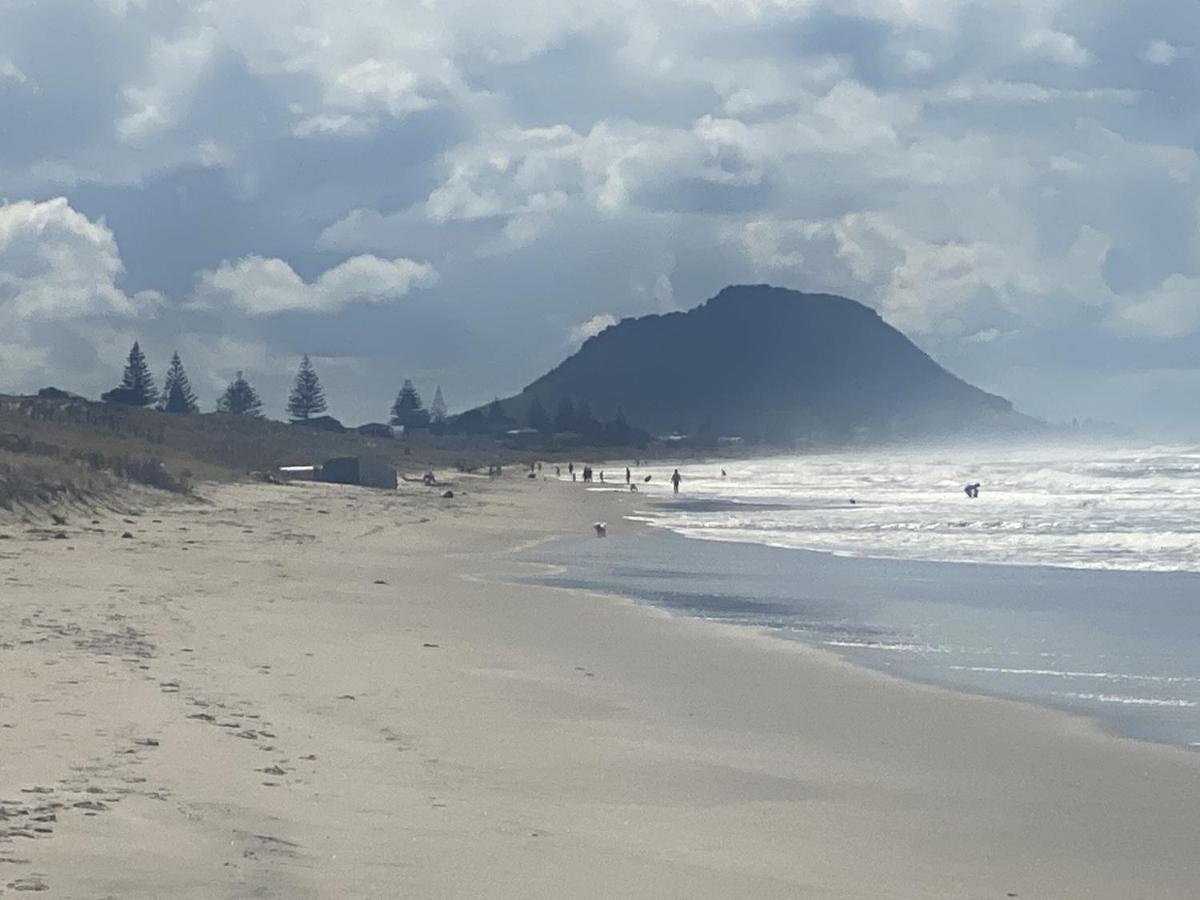 マウント・マウンガヌイSuperb Beachside Location, Private And Tranquilアパートメント エクステリア 写真